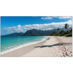 Sharp UN553V, 55" 60006189