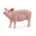Schleich Figure Farm World Pig 13933