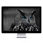 Natec NFP-1478 Privacy Filter RODO NFP-1478