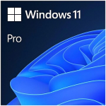 Microsoft Windows 11 Pro, 64bit, English, OEM (DVD) FQC-10528