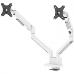 Newstar Full motion desk monitor arm for 2 screens, 17-32" DS70-250WH2
