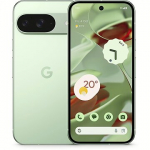 Google Pixel 9, 12GB/256GB, Wintergreen GA05844-GB