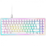 NZXT FUNCTION Elite MiniTKL (white, DE layout, NZXT Swift) KB-101NW-DE