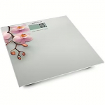 Esperanza EBS010, Orchid EBS010