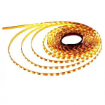 Visional Lamp|VISIONAL|AMT-2835NW120-12V|AMT-2835NW120-12V AMT-2835NW120-12V