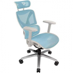 ThunderX3 XTC Chroma, White/Blue TEGC-3073102.B1