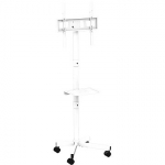 Gembird TV floor stand, 32-55" TVS-55T-03-W