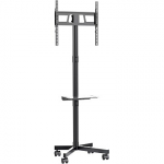 Gembird TV floor stand, 32-55" TVS-55T-03