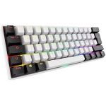 Sharkoon SKILLER SGK50 S4 Gen2 (white, DE layout, Gateron Yellow) 4044951041886