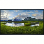 Dell P2425H, 23.8", without stand 210-BMTB