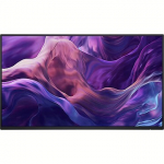 Dell P2425HE, 23.8", without stand 210-BMTC