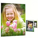 Hewlett Packard HP Everyday Glossy Photo Paper A4 100 BL Q2510A