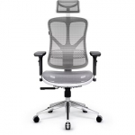 Diablo V-Basic, White/Grey V-BASICBIASZ