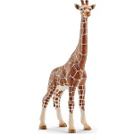 Schleich Female giraffes SLH-14750