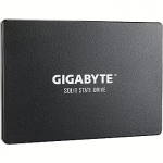 Gigabyte SSD, 256GB GP-GSTFS31256GTND