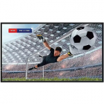 Hisense Monitor 55DM66D 55 inches 4K UHD IPS DS Display 24/7 55DM66D