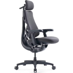 Libernovo Omni Gen (48cm), Graphite LNG2Omni
