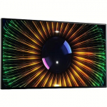 Dell UltraSharp U2424H, 23.8", without stand 210-BLBT