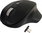 Mysz bezprzewodowa - Wireless USB-C Pro Mouse Black | M20DCBB
