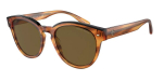 SUNGLASSES GIORGIO ARMANI WOMEN AR8164F592173 (Lens/Bridge/Temple) 55/20/145 mm) | AR8164F592173 | 8056597648899
