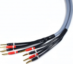 Kabel Melodika Banan x4 - Banan x4 1.5m szary | 05907609000422 | 05907609000422
