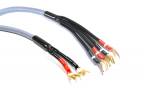 Kabel Melodika Widły - Widły 2.5m fioletowy | 5907609005601 | 5907609005601
