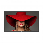 50 MONITOR UHD 24/7 500 NITS | 50BDL4650D | 8712581799823