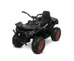 TOYZ BATTERY VEHICLE TERRA BLACK | TOYZ-7231 | 5908310396903