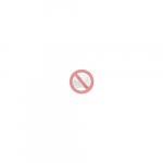 Siemens binaarv&auml;ljundite moodul SIMATIC S7-300 SM 322 16DO 24V DC 0,5A 6ES7322-1BH01-0AA0 | 6ES7322-1BH01-0AA0 | 4025515060918