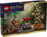 Harry Potter 76474 taimed n&otilde;idusetundidest Hogwartis klotsid | 76474 | 5702018063484