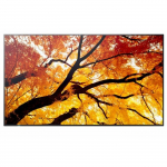Monitor NEC ekraan MultiSync M502 | 60006054 | 4550556131032