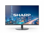 Monitor Sharp sharp Monitor MultiSync DD-E244FL 24 cale Black | 60006224 | 4550556177641