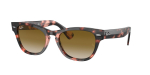 P&auml;ikeseprillid RAY BAN naistele RB2201-133451 (l&auml;&auml;ts/sild/sang) 54/17/145 mm | RB2201-133451 | 8056597461535