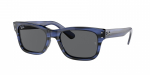 P&auml;ikeseprillid RAY BAN naistele RB22831339B15 (l&auml;&auml;tse/silla/sanga) 52/20/145 mm | RB22831339B15 | 8056597556514