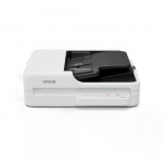Epson WorkForce DS-1730 (hellGray/dunkelGray, USB) | B11B273401 | 8715946737560