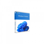 MS Windows 11 Home FPP 64-bit Inglise rahvusvaheline USB | 809-HAJ-00090 | 889842965674