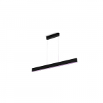 Philips Hue White & Color Ambiance Ensis Deckenleuchte Pendelleuchte Black | 871951434336800 | 8719514343368