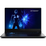 ERAZER 30040417 Defender 17 P1 MD62756, Intel&reg; Core&trade; i7, 17.3", 1920 x 1080p, 32 GB, 2 TB, W11h | 30040417 | 4061275242492