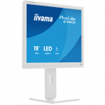 IIYAMA 48.0cm (19")   B1980S-W1     5:4 HDMI+DP white | 20801788086W | 4948570125432