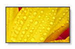 Monitor wielkoformatowy MultiSync M651-2 65 cali UHD 500cd/m2 24/7 | 208817668441 | 5028695127494