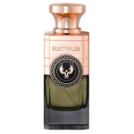 Electimuss ELECTIMUSS Vixere EDP spreipudel 100ml | 5060485381921 | 5060485381921