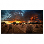 Monitor Samsung VM55B-U (LH55VMBUBGBXEN) | LH55VMBUBGBXEN | 8806094366105