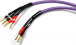 Kaabel Melodika Banaan x2 - Banaan x4 1.5m Purple | 05907609000705 | 05907609000705