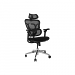 Equip Ergonomischer B&uuml;rostuhl+Kopf/Armst&uuml;tzen+SFS    Black lite Retail | 651053 | 4015867238646