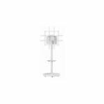 Gembird TV uchwyt 37" - 86" TV floor stand 8716309135047 TVS-86TR-01-W (8716309135047) | TVS-86TR-01-W | 8716309135047