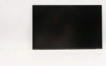 Lenovo FRU of SD11A22490 BOE 13.0 | FRU of SD11A22490 BOE 13.0 | 5704174824435