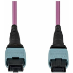 StarTech StarTech OS2MTP12AOFNP10M InfiniBand / fiiberoptiline kaabel 10 m MPO/MTP Purple | OS2MTP12AOFNP10M | 0065030930505