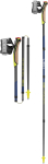 Leki Nordic k&otilde;ndikepid Traveller FX.One Carbon 120 | 65325821120 | 4028173294367