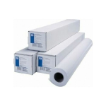 HP professionaalne fotopaber plotterile rullis 300 g 610 mm x 15 m (Q8759A) | Q8759A | 0848412013542