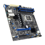 Asus P13R-M/10G-2T | 90SB0CC0-M0UAY0 | 4711636234351